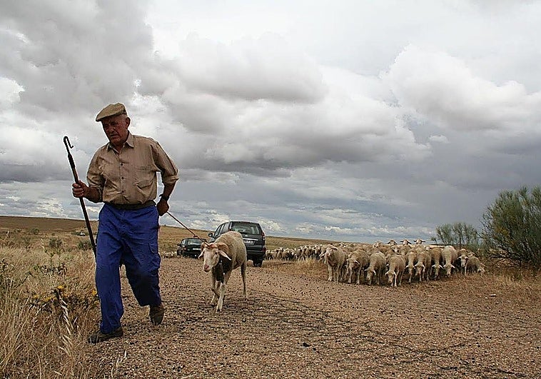 ¿Qué ha pasado este domingo, 22 de marzo, en Extremadura?
